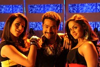 NTR Dammu Exclusive Stills